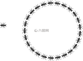 螞蟻,昆蟲,組織
