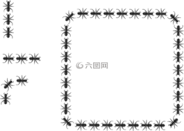 螞蟻,昆蟲,組織
