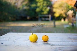 柑橘類水果,真正,柚子