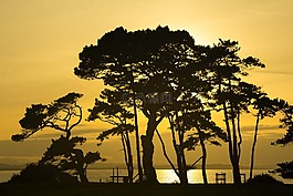 日落,silhouetts,橙色的天空