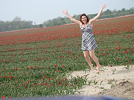 郁金香,鮮花,春天