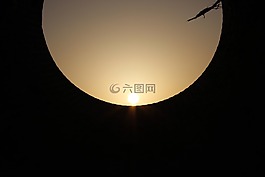 輪廓,日落,黎明