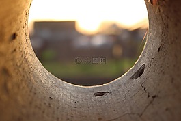 黎明,天空,照片
