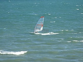風沖浪,海,運動