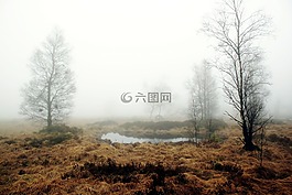 霧,秋季,性質(zhì)