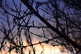 雨,下降,早午餐