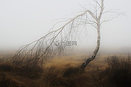 霧,秋季,性質(zhì)