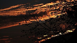景觀,性質(zhì),日落