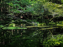 日本,水源,ubuyama、 熊本