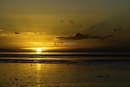 日落,瓦登海,norddeich