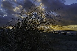 日落,瓦登海,norddeich