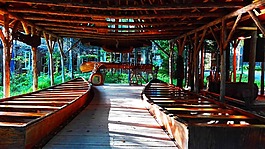 加拿大,amerindien,印度