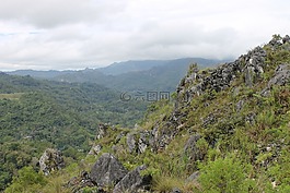 山,巖,樹