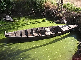 padule,fucecchio,惠