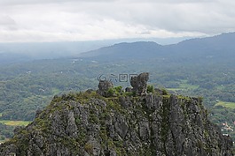 天空,山,樹