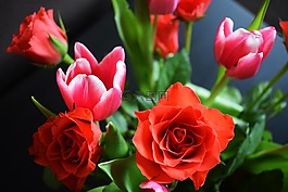 鮮花,花束,玫瑰
