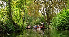spreewald,lübbenau,德国
