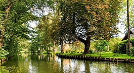 spreewald,lübbenau,德国