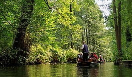 spreewald,lübbenau,德国