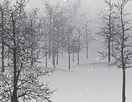 雪,現場,樹
