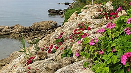 塞浦路斯,protaras,水晶溫泉