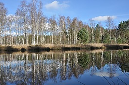 性質(zhì),水,景觀
