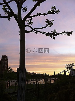 法蘭克福,日落,飛機
