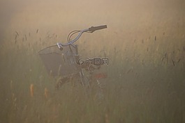 草地,自行車,霧
