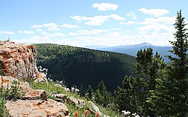 科羅拉多州,夏天,山