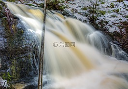 森林,溪,冬天