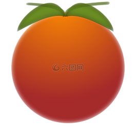 橙色,水果,柑橘