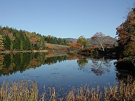 新英格蘭,水,反思