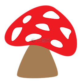 真菌,蘑菇,木耳