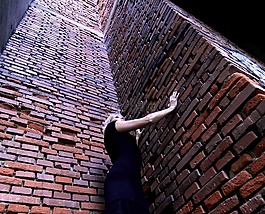 一个女人需要的,陷阱,砖
