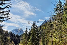 性質(zhì),山,森林