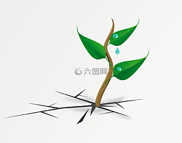 植物,葉子,綠色