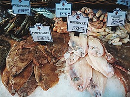 魚,新鮮,食品