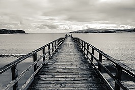 道路,白,黑色