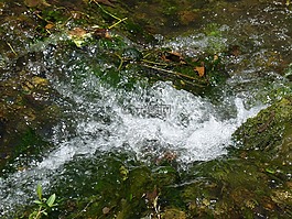 河,水,自然