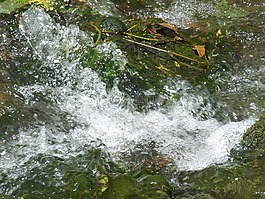 河,暗沙,水