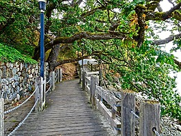 走道,路徑,維多利亞
