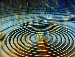 拼貼畫,環,糧食