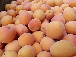杏,水果,健康