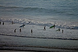 mar,沖浪,海灘