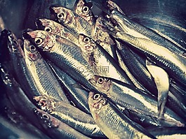 魚,店,新鮮