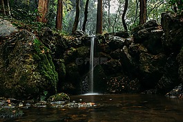 大瀑布,森林,平靜