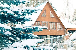 云杉,雪,降雪