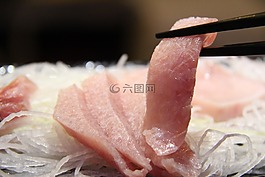 金槍魚,金槍魚腹部脂肪,金槍魚方