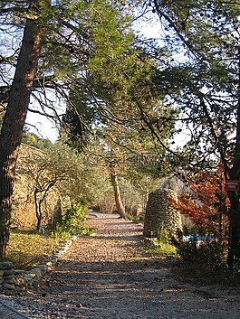路徑,農(nóng)村,景觀