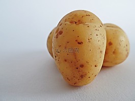 土豆,蔬菜,字段